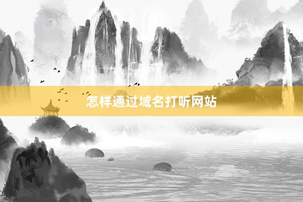 怎样通过域名打听网站