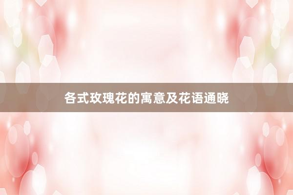 各式玫瑰花的寓意及花语通晓