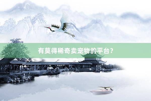 有莫得稀奇卖宠物的平台？